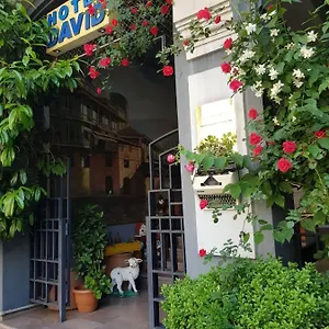 David - Ethno Style Otel